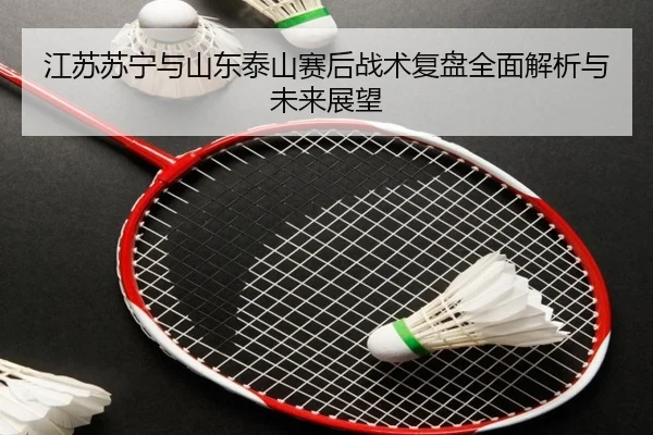 江苏苏宁与山东泰山赛后战术复盘全面解析与未来展望